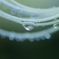 雨後の明かり