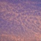 夕暮れの空に上手に描かれた模様