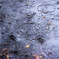 秋雨の音