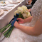 Wedding☆彡