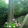 sekiguti DSCN0674