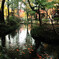 sekiguti DSCN1096_01