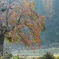 sekiguti DSCN3372a