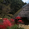 薬師池公園１