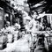 DSC_5984-2-2-2-2-24-2-5s1