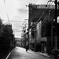2025-09-03_5686