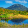 八甲田山.高田大岳「睡蓮沼」