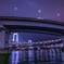 レインボウブリッジを望む