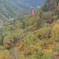 駒ヶ根ロープウェイ乗ってる眼下の景色