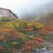 千畳敷カールの周辺景色　2012/10
