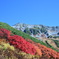 立山の紅葉
