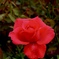 3E875EEB-8AE7-4CE1-AAC3-218F090AB571