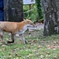 秋の来訪者