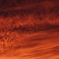 ピンクの夕日