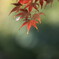 気がせいて