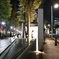 Y字路の夜