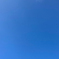 無数の鷹