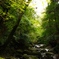 屋久島行きたい