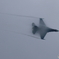 F2 2D4A1019