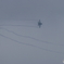 F2 2D4A1382