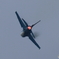F2 2D4A1653