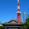 増上寺とタワー