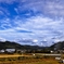 畑越しの空