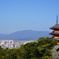 雅