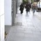 朝のポリスごっこ～♪　歩行者整理～♪