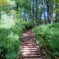 里山へ