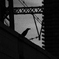烏 Karasu