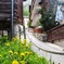 タンポポ咲く路地