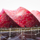 expo2025:A
