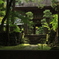 苔のある寺