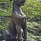 本殿前の　狛犬