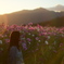 光の花束