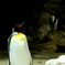 我思う、ゆえに我あり