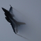 2025 岐阜基地航空祭　１０月１２日