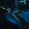 海底を往く