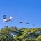 岐阜基地航空祭 2025年 10月9日(木) 事前訓練