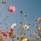 film・Mellow autumn weather*