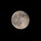 Izayoi-moon