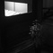 木漏れ日の夜