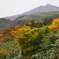 紅葉越しの鳥海山