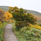 鳥海山の紅葉に分け入る第一歩