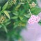 small happiness♡