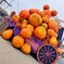 IMG20251003143713~2