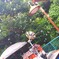 IMG20251003141715~2