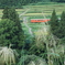 里山風景を往くタラコ色のキハ！