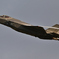 2025小松基地航空祭_事前訓練_58